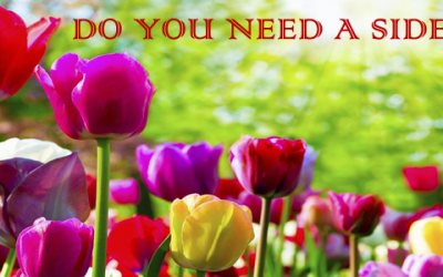 Does Your Blog Sidebar Matter?